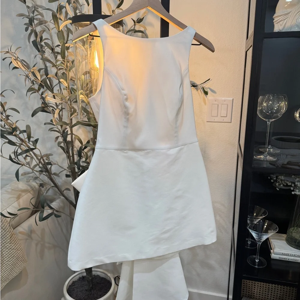 Sachin & Babi Reed Sleeveless Back-Bow Mini Dress (US4/UK8) - Picture 5 of 6